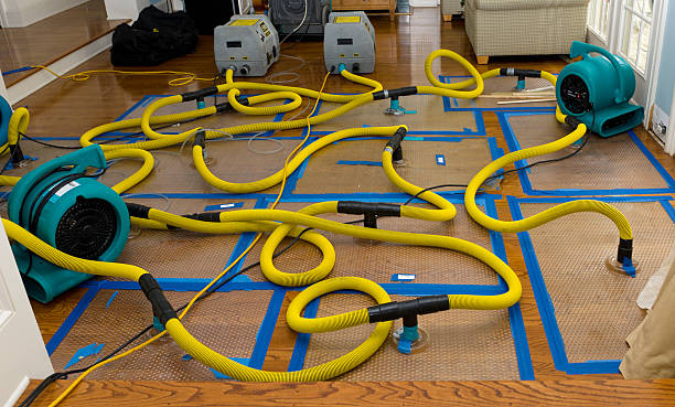 Professional Basement Flood Cleanup technician working in Phoenix, IL